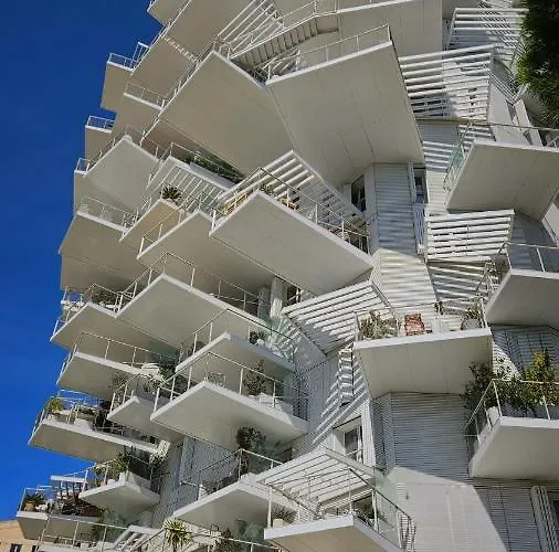 Arbre Blanc, Une Folie Montpellieraine