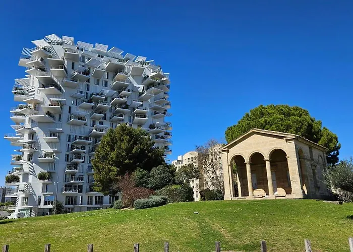 Arbre Blanc, Une Folie Montpellieraine